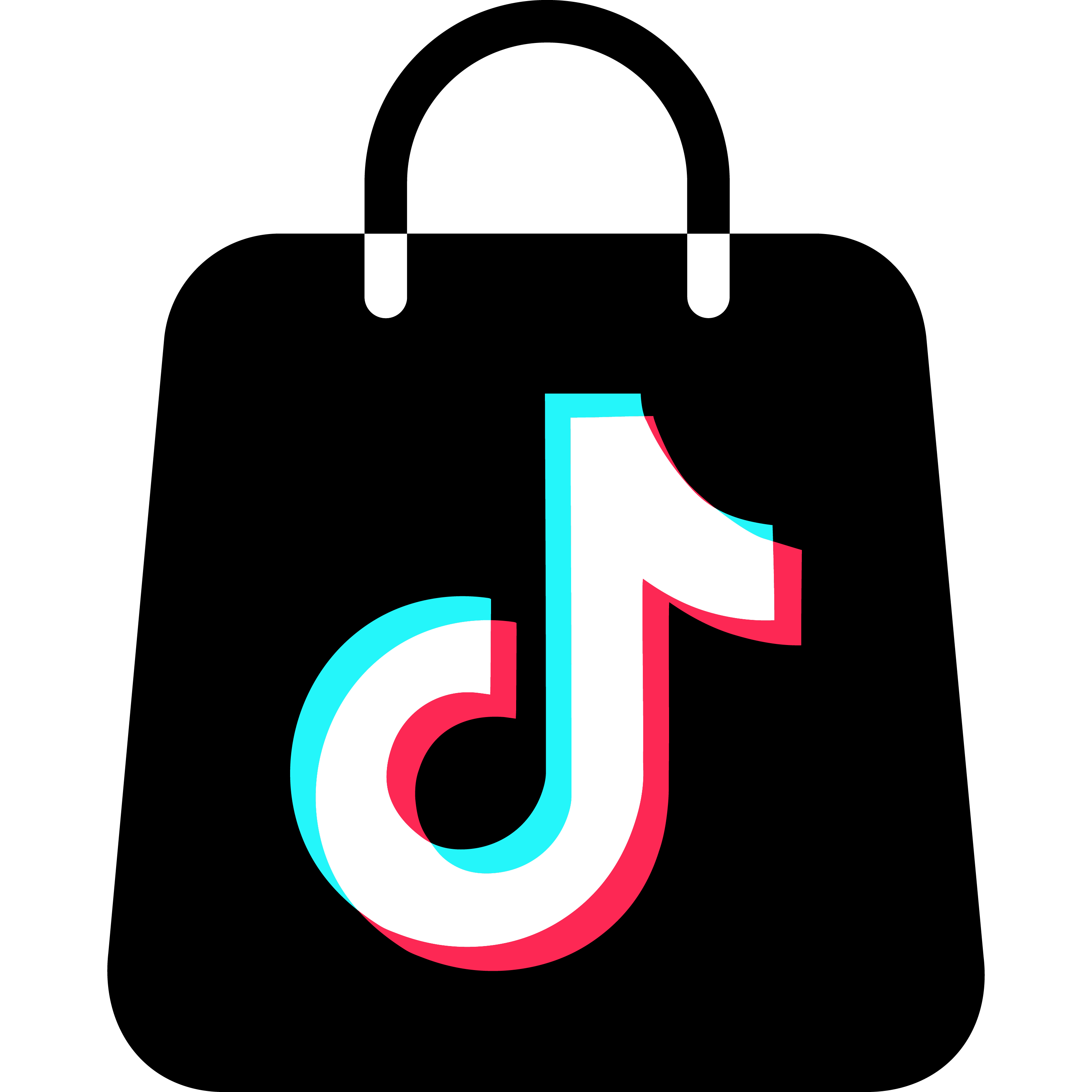 TikTok Shop